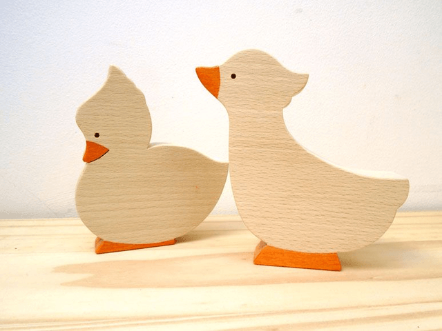Canards Duo