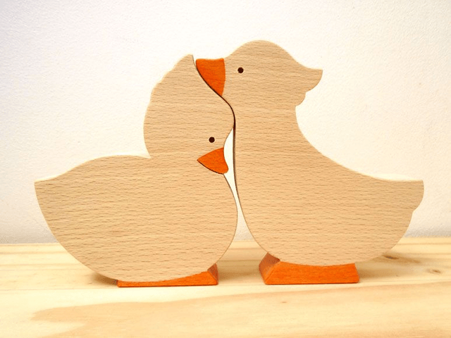 Canards Duo