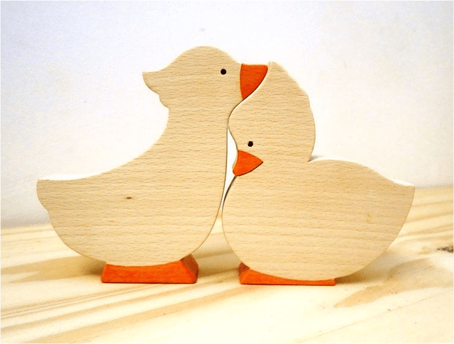 Canards Duo