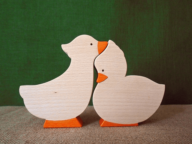 Canards Duo
