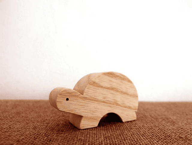 Tortue