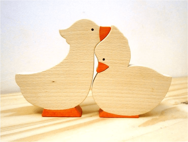 Canards Duo